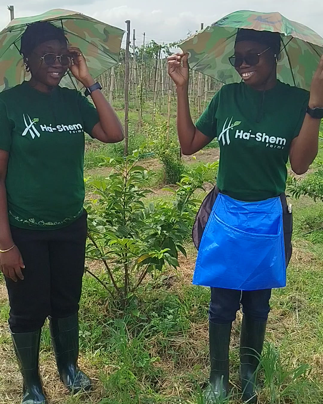 Ha-Shem Farms team members standing among crops on the farm
